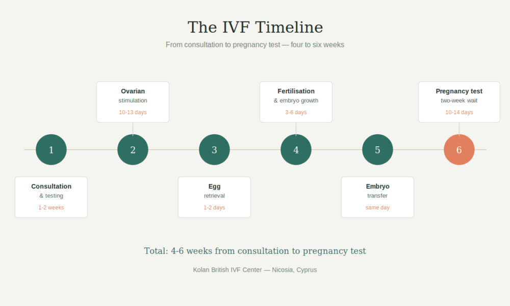 IVF treatment timeline — six stages from consultation to pregnancy test