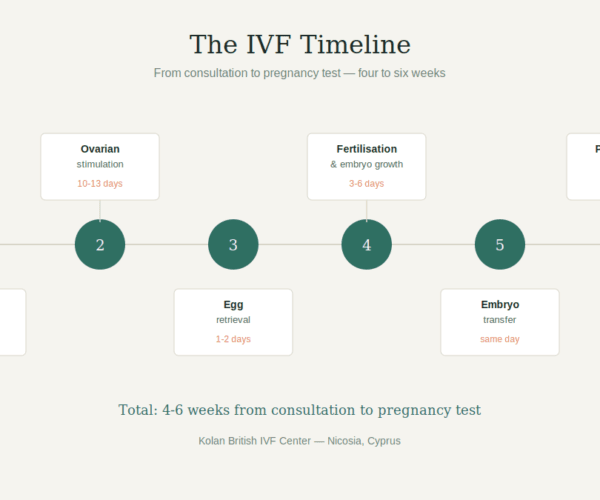 IVF treatment timeline — six stages from consultation to pregnancy test