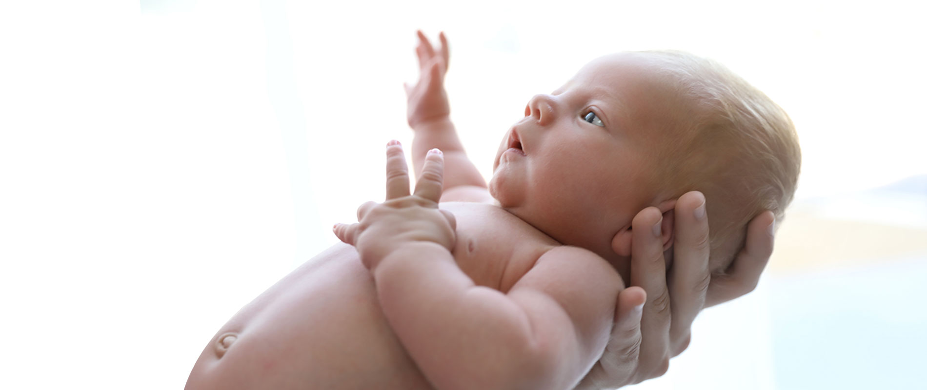 kolan-ivf-slider-a-1900X800