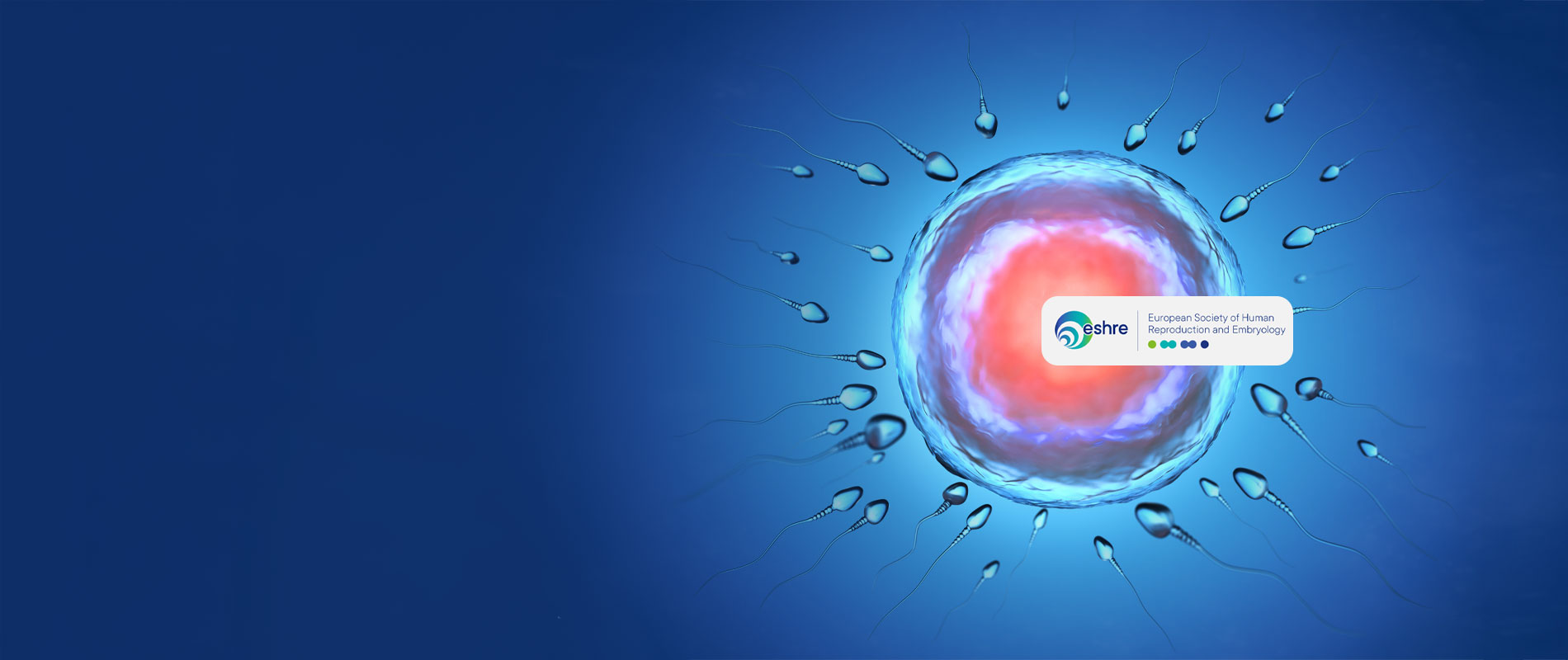 kolan-ivf-slider-b-1900X800