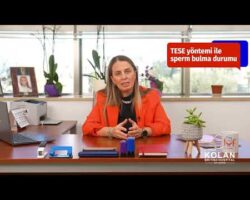 TESE Y&ouml;ntemi ile &Ccedil;ocuk Sahibi Olmak M&uuml;mk&uuml;n m&uuml;? I Kolan British IVF Merkezi