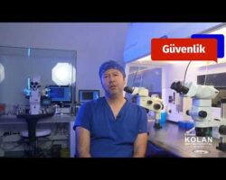 Kolan British IVF: Kıbrıs'ta G&uuml;venli T&uuml;p Bebek Standartları